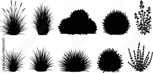 set of bush grass shrub herb silhouette vector transparent background eps 10

