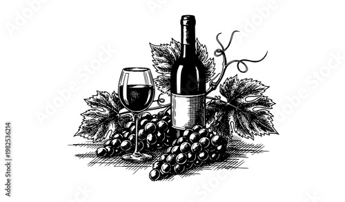 Wine still life vector retro engraving hand drawn bottle glass grapes