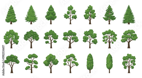 Various stylized forest tree species arranged in a neat grid pattern display lush green foliage and sturdy brown trunks against a clean white backdrop.