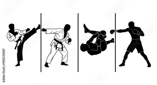 Dynamic martial arts and combat sports sequence showcasing diverse fighting styles including karate judo and boxing