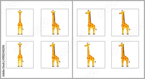 Group of giraffes standing together.