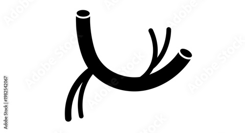 Abstract Black Branching Tubes or Arteries on White Background