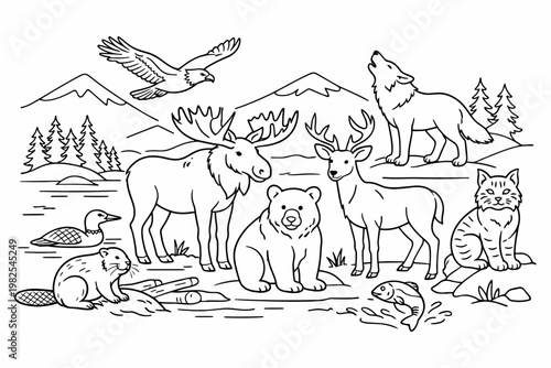 Canadian Wildlife Line Art Illustration with Moose, Bear, Deer, Wolf, Eagle, Beaver, Loon, Lynx, and Fish in a Mountain Landscape; Simple Flat Vector Design for Coloring Book and Education.