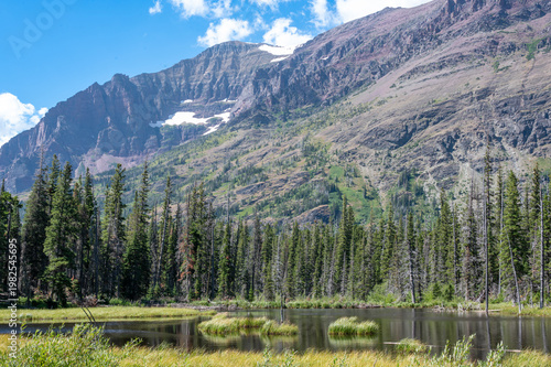 Majestic mountain landscape with lush forest and serene lake under bright sky