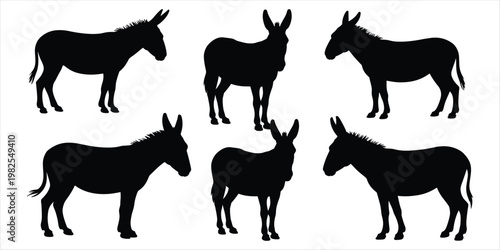 Six Black Donkey Silhouettes Standing on White Background animal mammal
