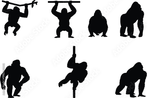 Six Black Gorilla Silhouettes in Different Poses on White Background primate animal