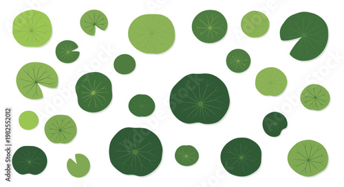 A diverse collection of circular green lily pads in varying sizes and vibrant shades of emerald and lime green floating across a pristine white background.