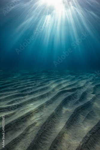 A sunburst through the surface casts shadows on the textured seafloor