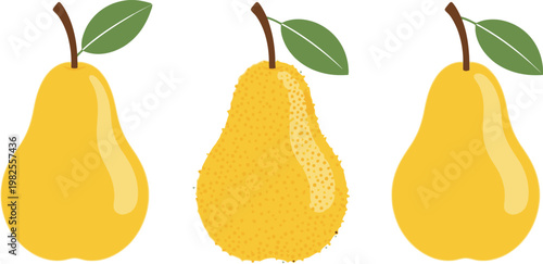 Set of Yellow Pear Icons in Different Styles for Healthy Eating, Fruit, and Food Design Projects