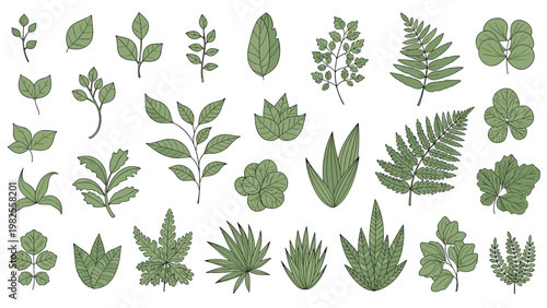 Comprehensive collection of various hand-drawn green leaf illustrations in different shapes and species on a white background.