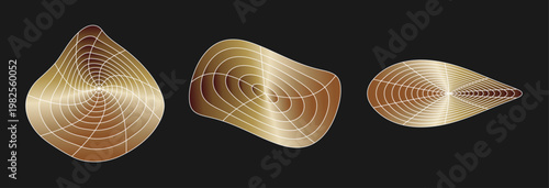 ブラック背景に浮かぶゴールドメタリックの有機的な曲面とワイヤーフレームラインで表現された抽象的3D形状セット