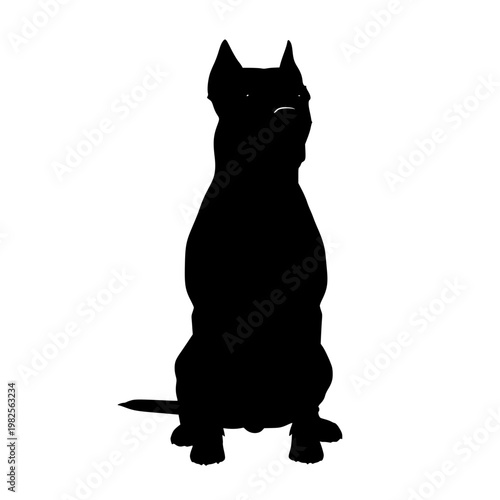 A black cat sitting upright with ears perked up Vector, illustration