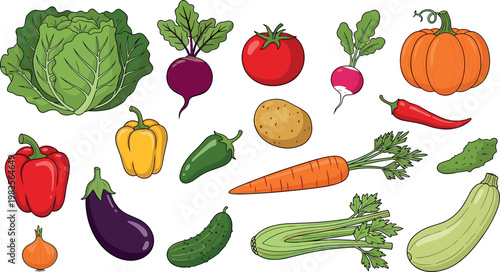 Illustration Set of Fresh Vegetables Including Lettuce, Carrots, Peppers, and Cucumbers
