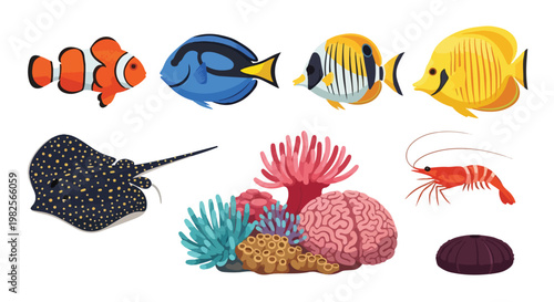 A vibrant collection of diverse tropical marine life including colorful fish, a stingray, shrimp, and various corals, isolated on white.