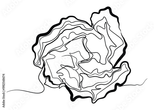 Bold black and white continuous line drawing depicting a flowing organic shape, perfect for contemporary covers, web graphics, and sophisticated marketing materials.