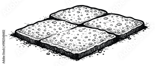 Handdrawn sketch of four porous square matzah crackers or biscuits grouped together, useful for Passover celebration graphics, rustic food illustrations, or historical cooking guides