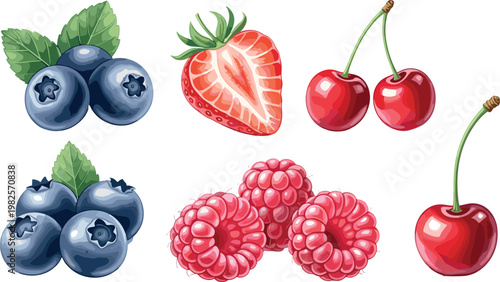 Vector Collection of Fresh Berries Including Blueberries, Strawberries, Raspberries, and Cherries with Leaves