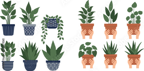 Indoor houseplants vector set potted green plants collection with hands holding pots modern home decor illustration