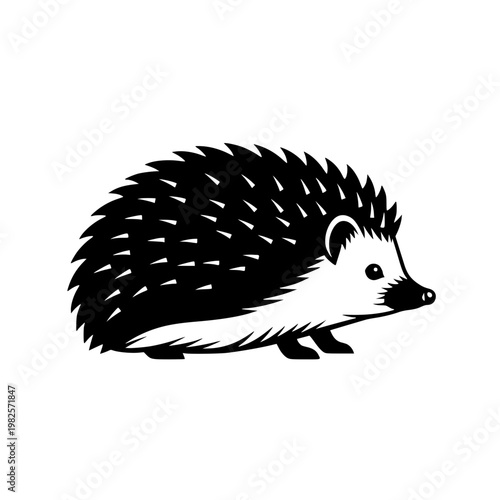 A black and white hedgehog with spikes Vector, illustration