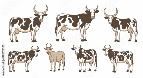 Brown and white cows standing together.