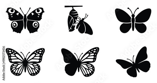 Collection of diverse butterfly silhouettes and the captivating metamorphosis process from chrysalis to adult insect, perfect for educational presentations or decorative naturethemed