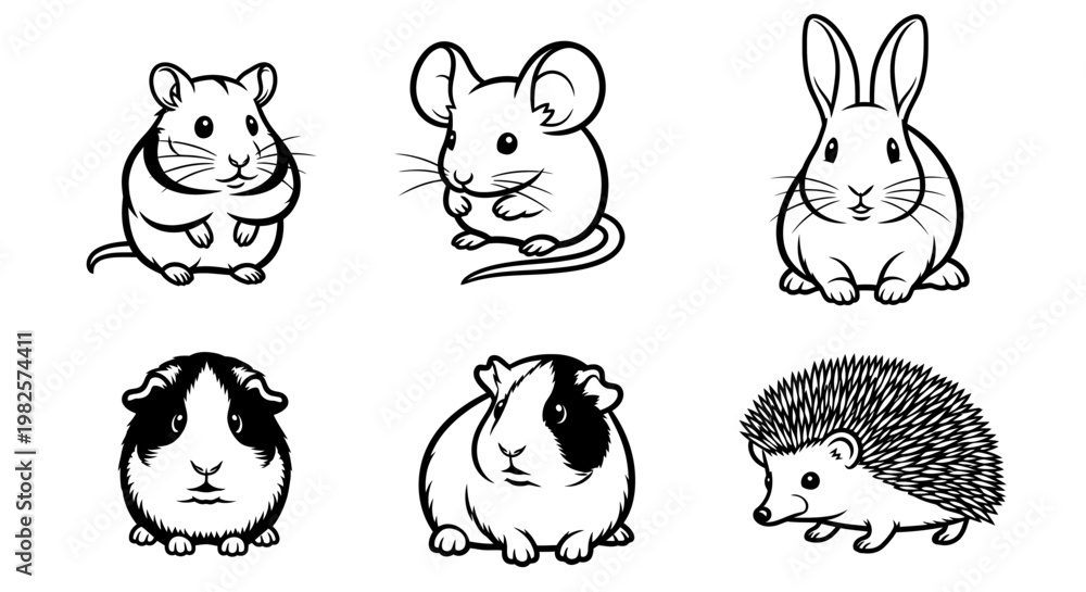 Fototapeta premium Cute small furry animal friends group.