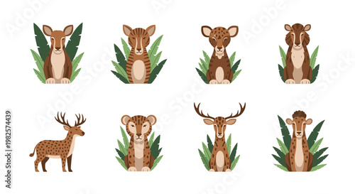 Deer and fawn animal faces closeup.