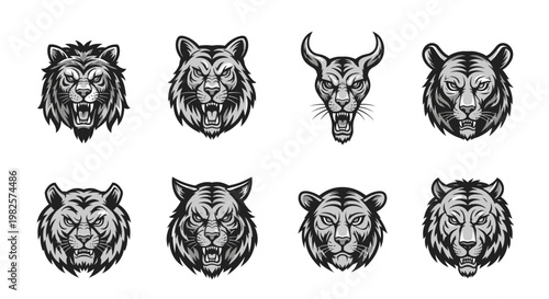 Detailed drawings of animal heads.