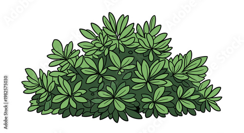Green leaves on a bush plant.