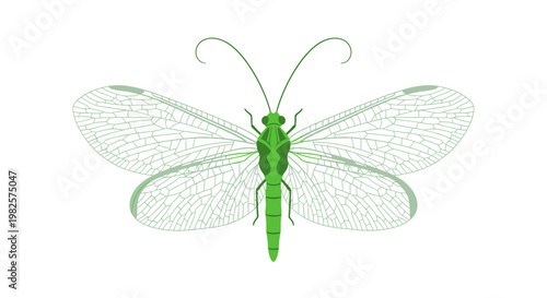Green insect with transparent wings flying.