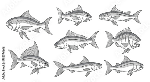 School of Fish Swimming Together 3.