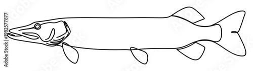 Stylized continuous line drawing of a predatory pike or muskellunge freshwater fish, perfect for fishing industry logos, wildlife education, or contemporary graphic design projects