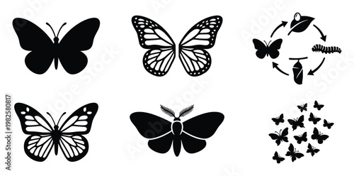 Collection of diverse butterfly and moth icons including detailed wing patterns and a full metamorphosis cycle ideal for biology education nature documentaries or decorative graphic