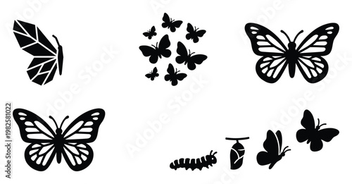Collection of black butterfly silhouettes in various styles including geometric and detailed wings alongside the insect life cycle stages for nature themed graphics and educational projects