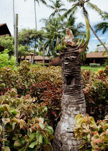 An artistic representation of nature featuring a tree stump adorned with green succulent plants, encapsulating the beauty of resilience and new growth in an outdoor setting.
