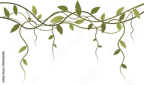 Vibrant green vines with leaves cascading down, creating a natural decorative border for a jungle or tropical theme