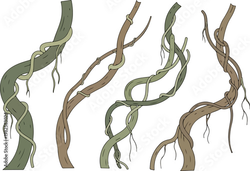 Stylized illustration of jungle vines and lianas with trailing roots, a set of natural elements for design