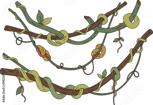 Vines and Branches with Knots and Leaves - Illustration