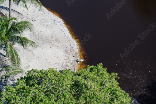 An aerial view of a riverbank featuring lush green foliage, sandy shores, and the rich brown color of the water below, evoking a sense of wilderness and exploration.