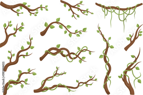 Set of illustrated vine branches with green leaves, jungle foliage and organic growth elements