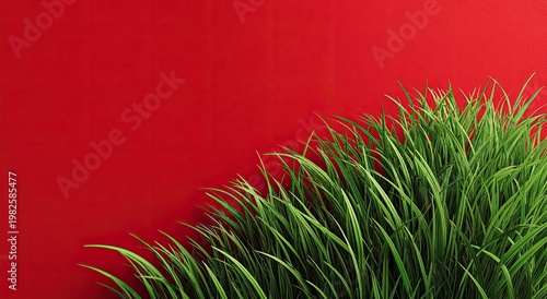 Vibrant green grass gracefully curves along the bottom edge of a striking red background, creating a bold and visually appealing contrast.