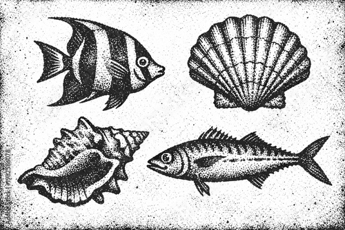 Retro Ocean Elements with a Photocopy Effect for Creating Collages Featuring Sea Fish and Seashells with Grunge Texture, Vintage Stipple Engraving Style Marine Life Vector Illustration Set