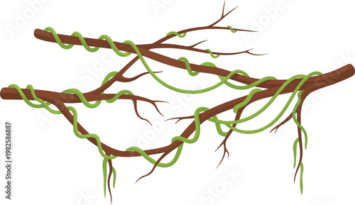 Twisted vines entwined around weathered tree branches in a natural outdoor setting