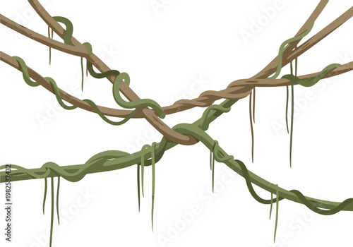 Jungle vines and thick creepers intricately woven together in a tangled network against a white background