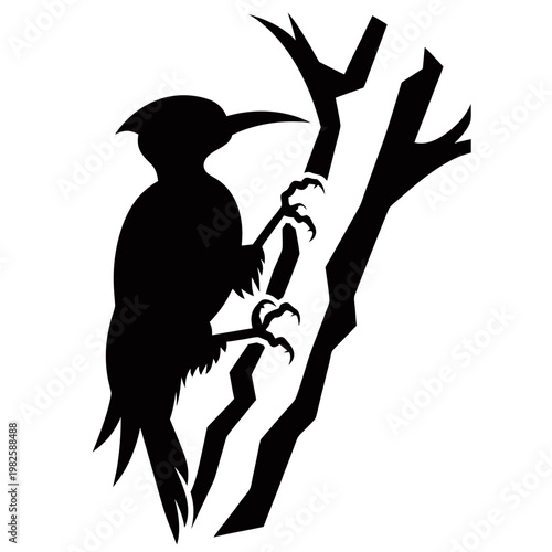 Black silhouette bird, woodpecker on tree branch, vector illustration, wildlife icon