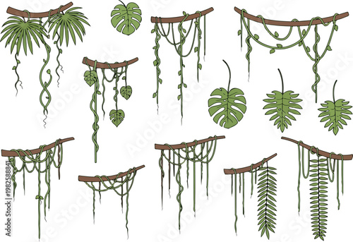 Collection of tropical jungle vines and exotic plant leaves hanging from branches