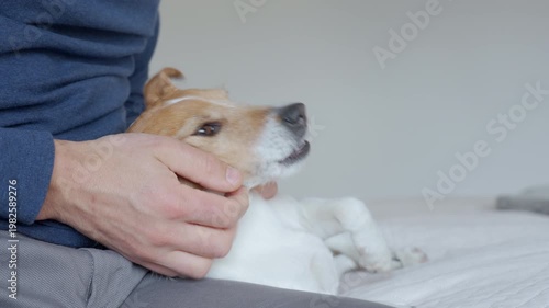 Man petting small dog while sitting on bed in home bedroom interior. Concept of pet affection companionship comfort and domestic life.