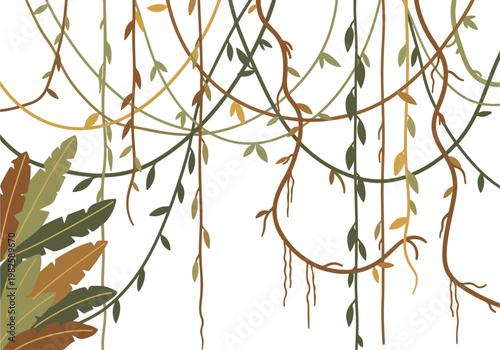 Jungle vines and tropical leaves hanging from above in a white background illustration