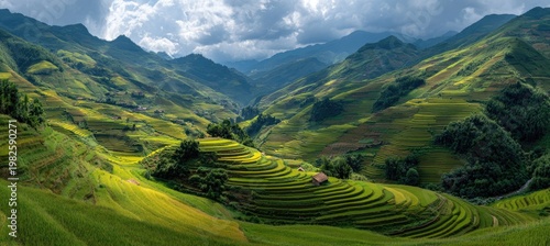A breathtaking panoramic view showcases vibrant green rice terraces cascading down lush, rolling hills under a dramatic, cloudy sky.