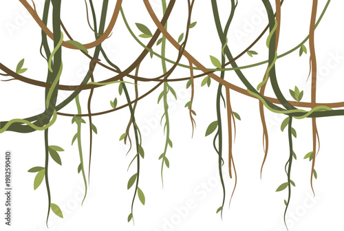 Tropical jungle vines with hanging leaves and branches in a seamless pattern on a white background